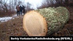 Держлісагенство розробило законопроєкт, який має вирішити проблему незаконної вирубки лісу