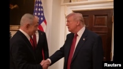 Зустріч Дональда Трампа (п) та Беньяміна Нетаньягу, Вашингтон, 11 лютого 2026 року