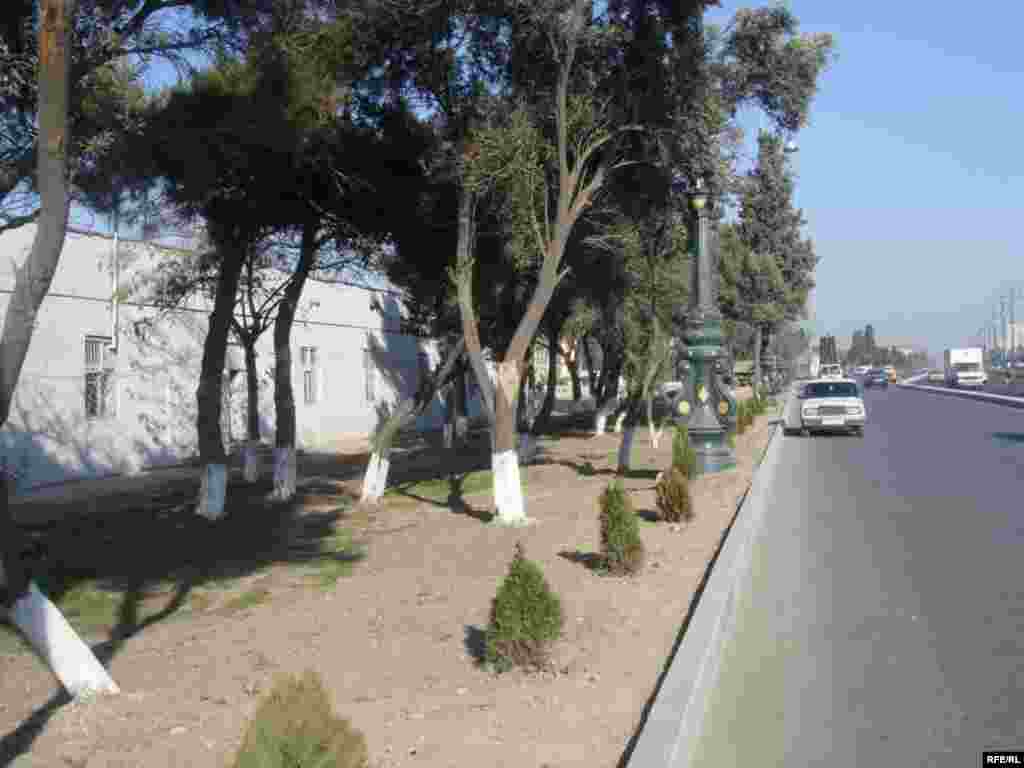 21-ci əsrin xarabalığı #26