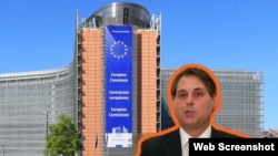 საქართველოს დელეგაციას ბრიუსელში წარმოადგენს გიორგი ტაბატაძე - საერთაშორისო სამართლებრივი, საკონსულო და დიასპორის საკითხების დირექტორატის დირექტორი