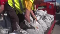 د کویلې وړلو نړیواله سیالي