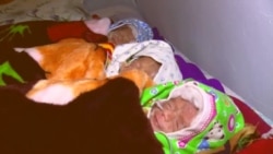 Родные новорожденных тройняшек сетуют на врачей