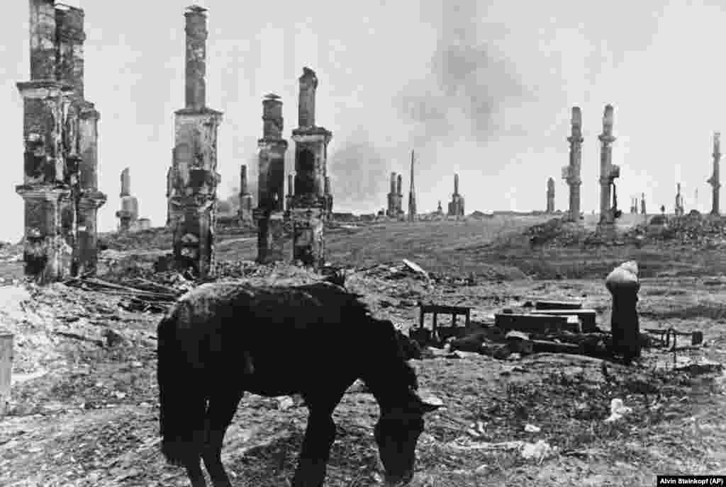 An abandoned horse grazes among the ruins of Stalingrad on December 18, 1942. In the background, at right, Russian women leaving their battered homesteads make their way through the ruins. (AP/Alvin Steinkopf)