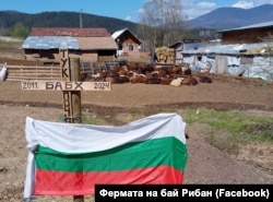 Част от акцията срещу БАБХ в стопанството на бай Рибан през 2024 г.