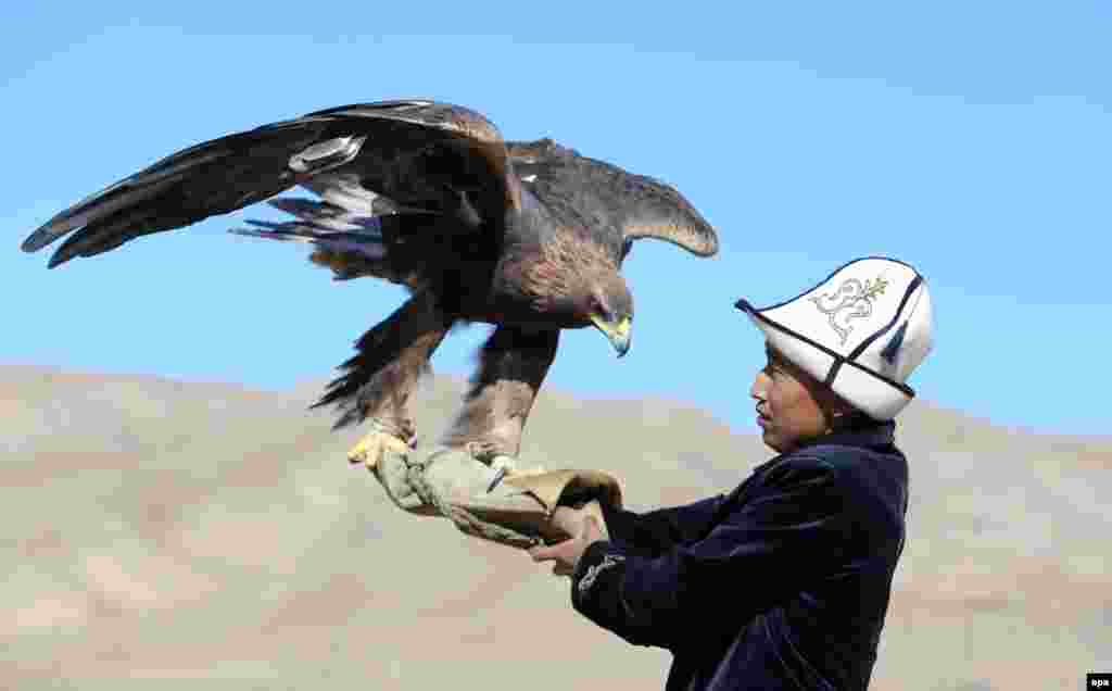 A Kyrgyz berkutchi, or eagle hunter, readies his bird for release at a traditional hunting festival in the Kyrgyz village of Bokonbaevo. (epa/Igor Kovalenko)