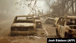 Згорілі автомобілі у місті Парадайз, Каліфорнія, США, 10 листопада 2018 року