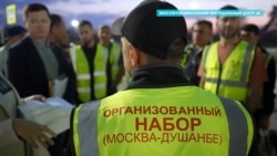 Россия хочет, чтобы мигранты приезжали на заработки «организованно». Эксперты видят уязвимость 