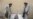UN Food Agency Races To Prevent Afghan Crisis