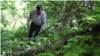 Bosnia and Herzegovina - Ramiz Nukic from the village of Kamenica, who collects the remains of Bosniaks killed in July 1995, hoping to find the bones of his family. June 2019.