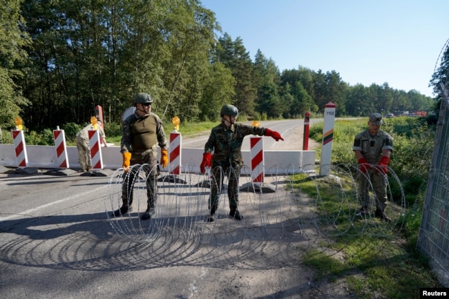 Члени Литовської спілки стрільців встановлюють колючий дріт на кордоні з Білоруссю в Сумскасі, Литва, 18 серпня 2023 року