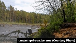 У Лагойскім раёне раптоўна зьнікла лясное возера