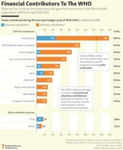 INFOGRAPHIC: Financial Contributors To The WHO