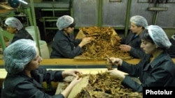 Armenia -- Workers at a tobacco fermentation factory in the southern town of Masis, undated.