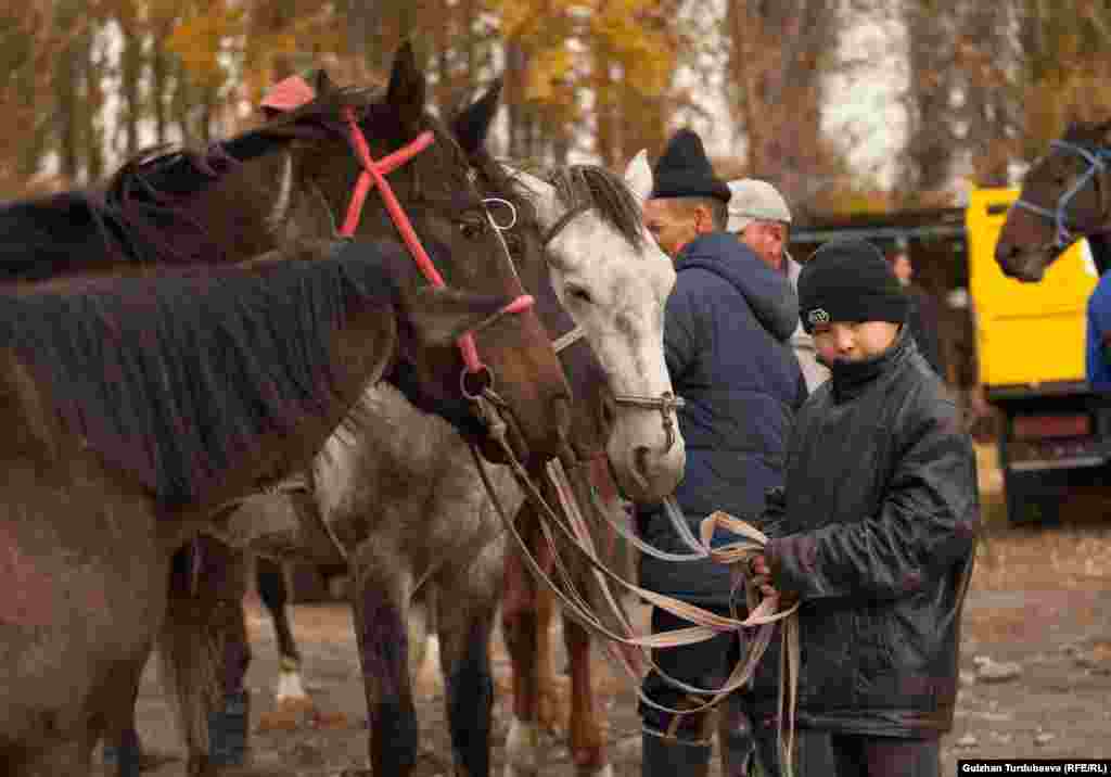 Самые дорогие - лошади. Стоимость зависит от возраста и породы, минимальная - около 60 тысяч сомов, самая дорогая на этом рынке - примерно 200 тысяч сомов. 
