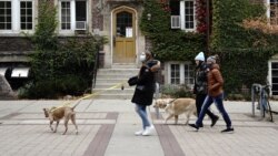 Люди гуляют с собаками на территории университетского города в Висконсине, США. 19 октября 2020 года.