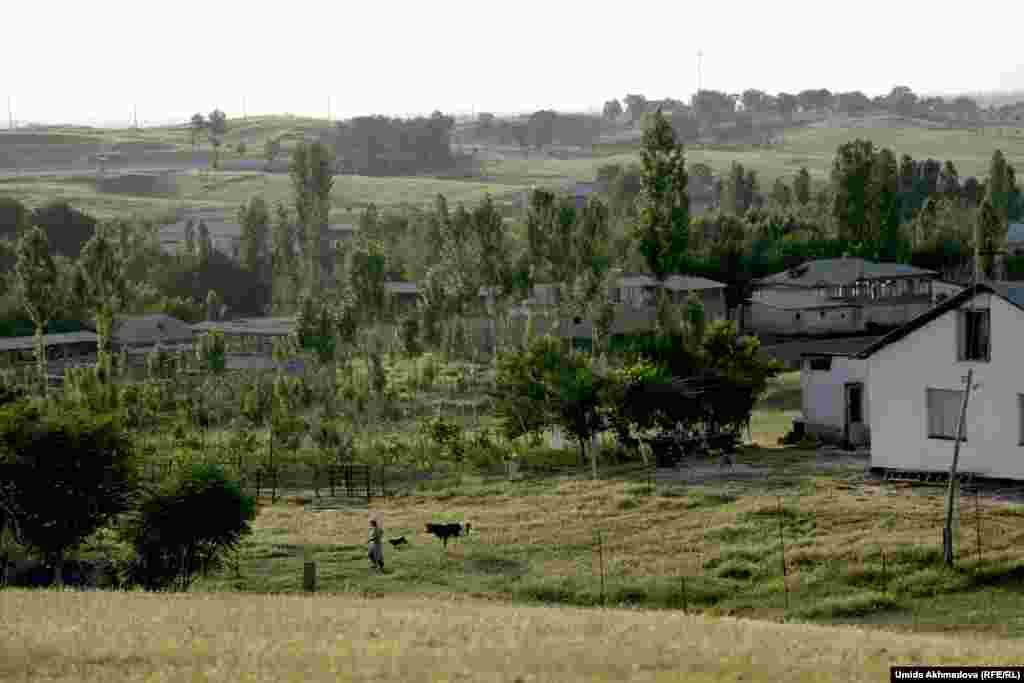 Деҳаи Балгалӣ дар 40-километрии Тошканд, сари роҳи водии Фарғона воқеъ аст.