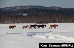 Окрестности села Курмач-Байгол, архивное фото