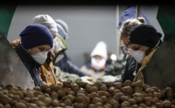 Employees wearing protective masks process potatoes in a vegetable storage in the village of Vinsady in the Stavropol region on March 27.