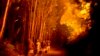 Locals battle the blaze as a wildfire approaches homes in Santiago de Besteiros, in central Portugal. (AFP/Patricia de Melo Moreira)