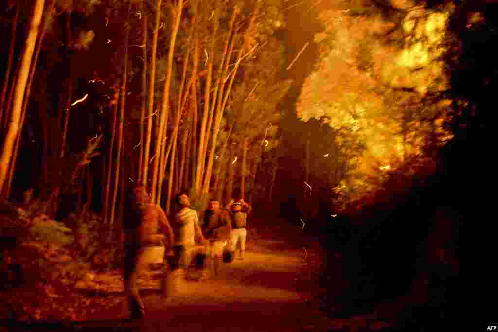 Locals battle the blaze as a wildfire approaches homes in Santiago de Besteiros, in central Portugal. (AFP/Patricia de Melo Moreira)