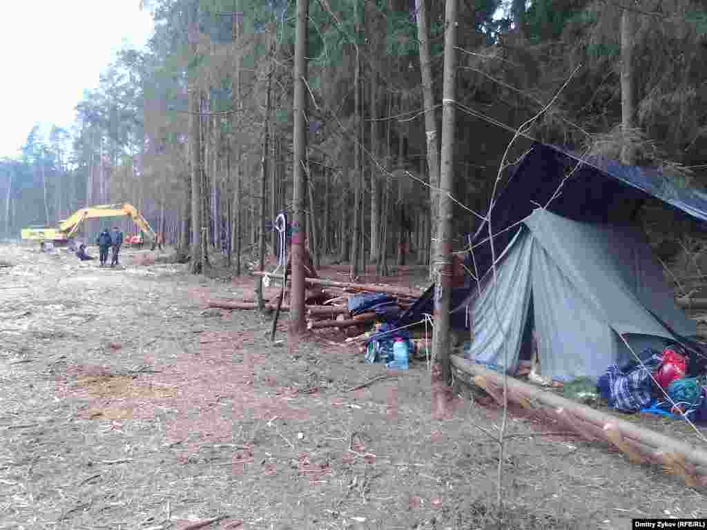 Работы идут уже рядом с лагерем в в лесу в Жуковском