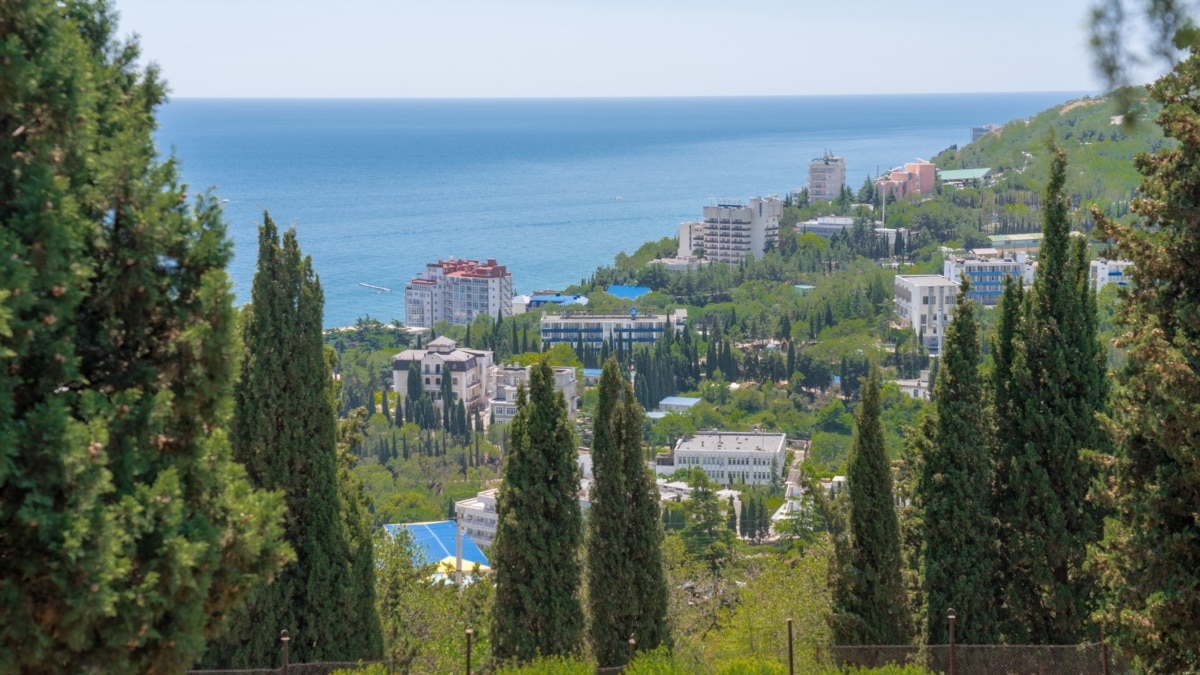 Алуштинский городской. Профессорский городок Алушта. Кипарис Алушта Профессорский уголок. Алушта лагерь Профессорский уголок. Аллея коммунальщиков Алушта.