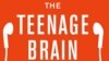 თინეიჯერის თავის ტვინი ჩამოყალიბებას გვიან ასრულებს