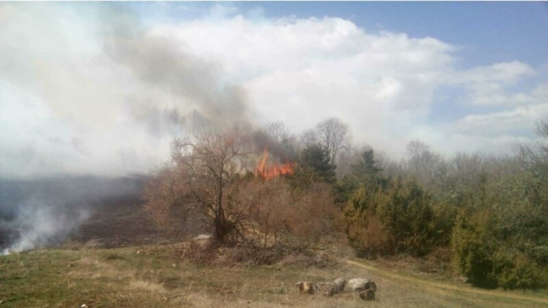 Пожари во Беровско со „катастрофални последици“ врз природата  
