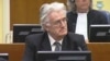 Mladic Won't Testify At Karadzic Trial