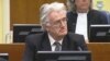 Mladic Won't Testify At Karadzic Trial