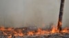 «Любой лесной пожар в Крыму очень опасен»