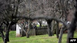 Полицейский осматривает двор дома в сербской деревне Велика Иванца, где произошло массовое убийство