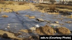 Болото в кооперативе "Сигнал" в Чите