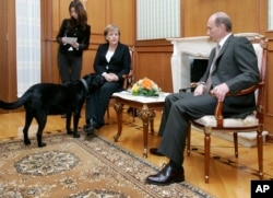 Собака Владимира Путина забежала в зал, где проходила совместная пресс-конференция с Ангелой Меркель. Сочи, 2007 год