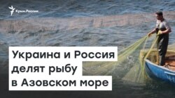 Украина и Россия делят рыбу в Азовском море | Доброе утро, Крым