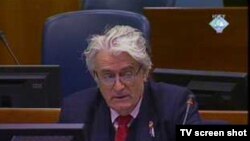 Ratni lider bosanskih Srba Radovan Karadžić tokom suđenja za genocid u Hagu, 14. oktobar 2010.