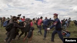 Поліцейські намагаються зупинити натовп нелегальних мігрантів із Близького Сходу на угорсько-сербському кордоні, 8 вересня 2015 року