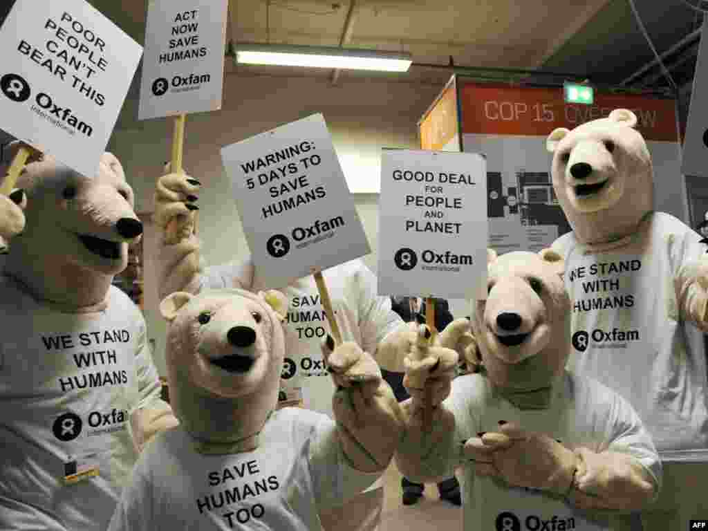 Aktivistë të veshur si arinj polarë demonstrojnë, duke mbajtur në duar mbishkrimet “Shpëtoni edhe njerëzit”. 