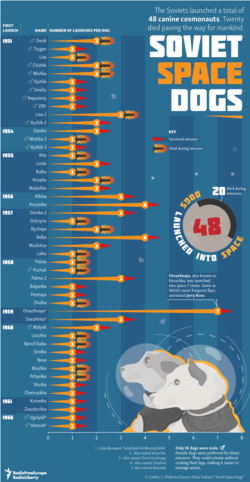 Infographic - Soviet Space Dogs