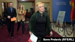 Protiv dezinformacija: Azra Jasavić