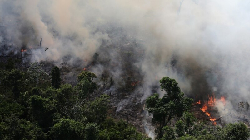 Војската ќе се бори против пожарите во Амазон 