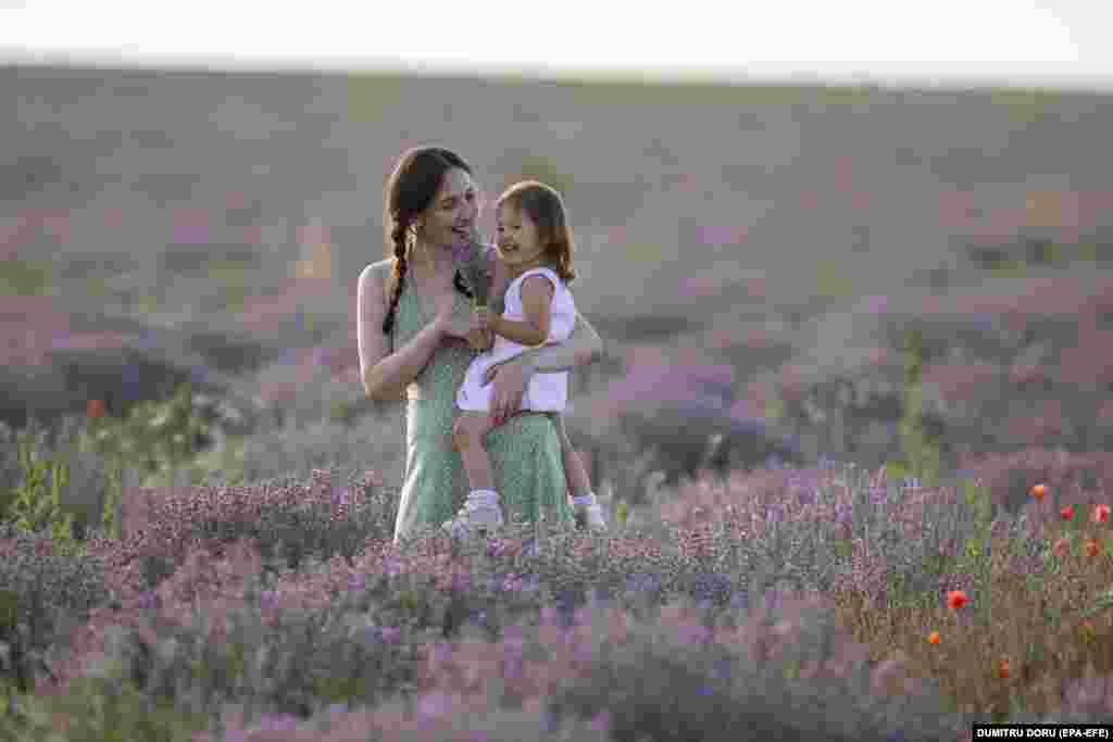 A mother holds her daughter in a Moldovan lavender field some 40 kilometers east of Chisinau. (epa-EFE/Dumitru Doru)