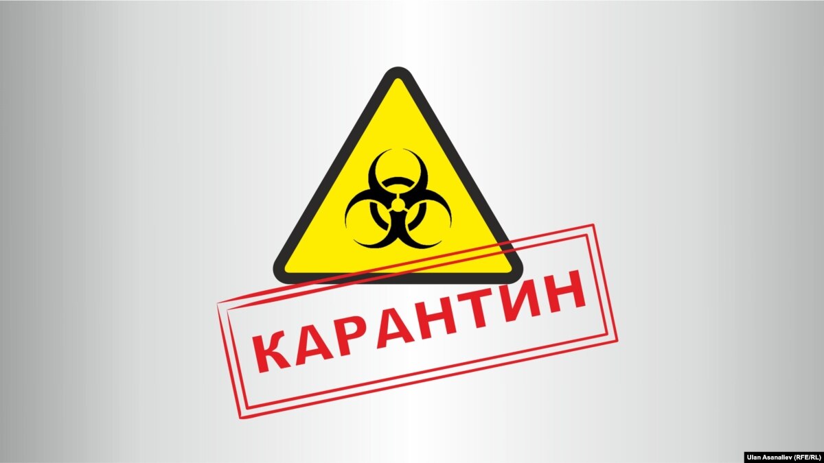Карантин картинки смешные, открытка