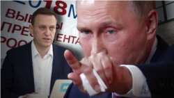 Navalnîi versus Putin – Războiul cuvintelor
