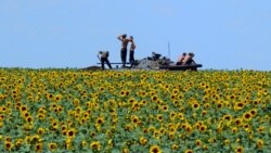 Українські солдати на бронетранспортері у соняшниковому полі, 20 км на південь від Донецька, 10 липня 2014 року