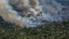 Пожарите во Амазон и борбата за храна