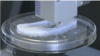 3D-принтер друкує людське вухо
