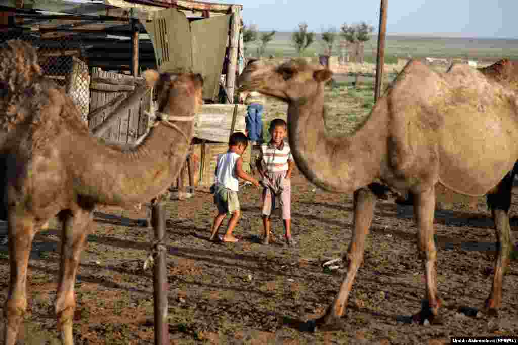 Bakytbek playing with his younger brother, near a shelter for the camels.