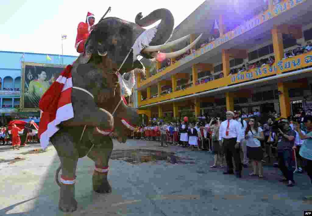 An elephant dressed in a Santa Claus costume performs for students ahead of the Christmas festival at a school in Thailand's Ayutthaya province on December 24. (AFP/Pornchai Kittiwongsakul)