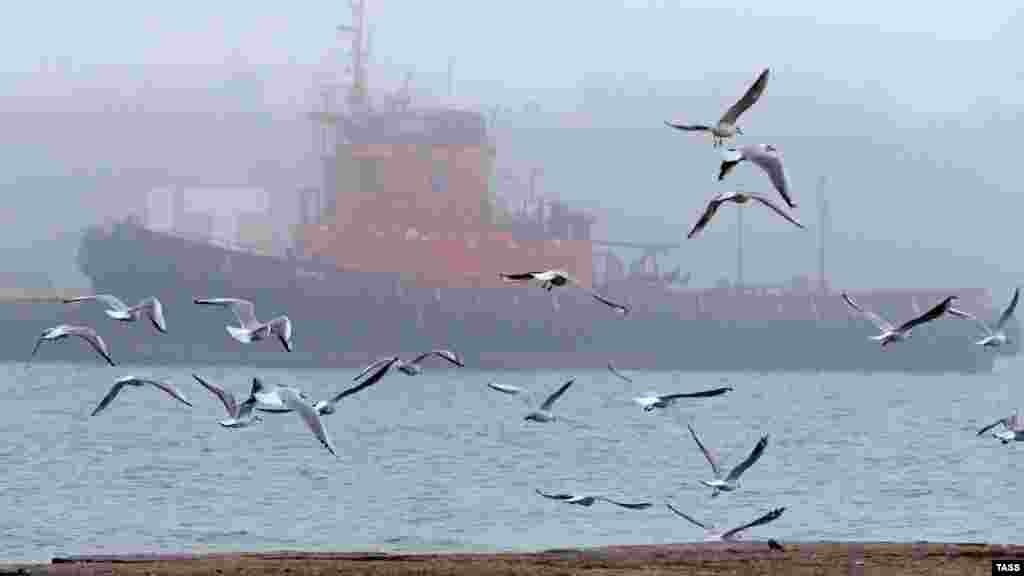 Сквозь туман едва просматриваются очертания корабля в Керченском порту